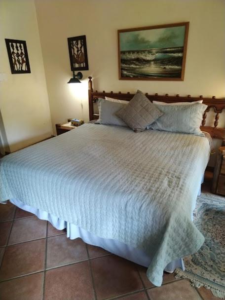 Buona Notte Bed & Breakfast Йоханесбург Екстериор снимка